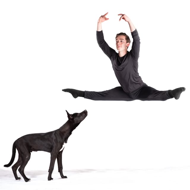 Man doing a high leap while black lab looks on