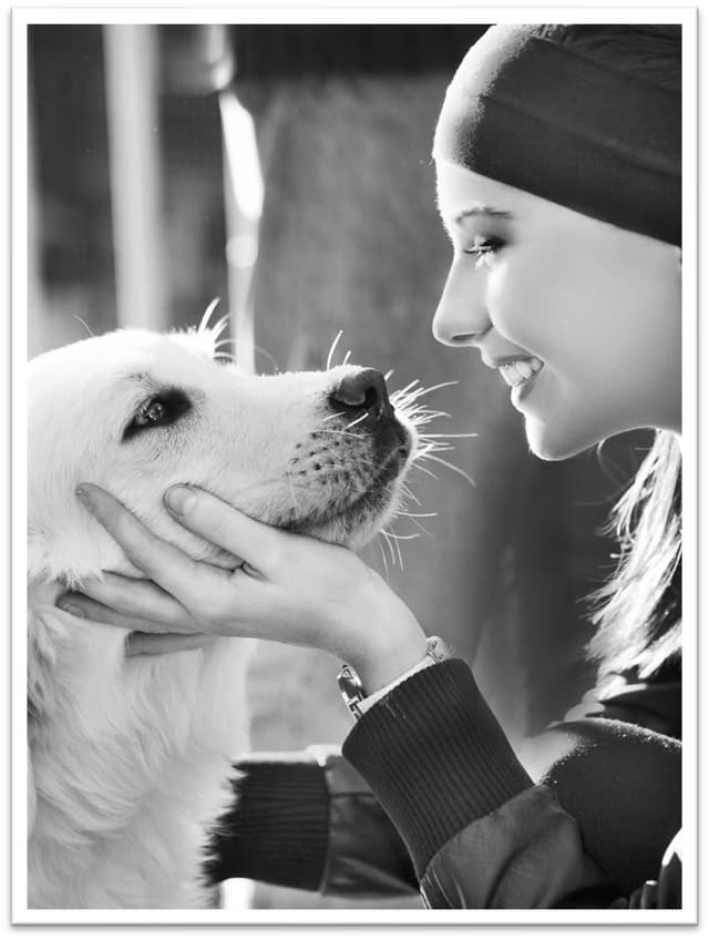 Closeup of a smiling woman looking into a white labs eyes with her hand on his chin